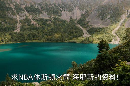 nba海耶斯在哪個隊打球,拜納姆用力打不動還勾出了陽痿球球