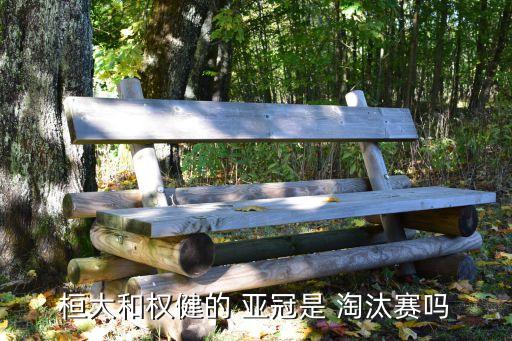 恒大亞冠淘汰賽打哪個,中超內(nèi)戰(zhàn)2-2不敵恒大全健晉級16強(qiáng)