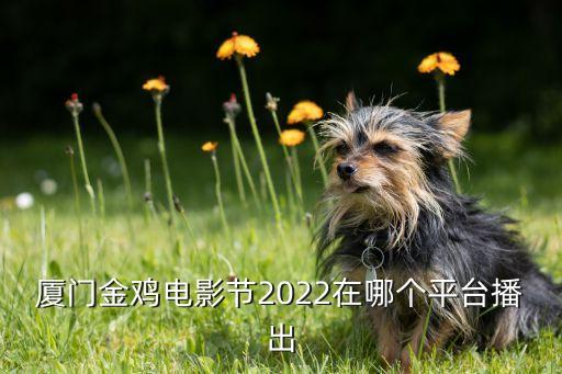 廈門金雞電影節(jié)2022在哪個平臺播出