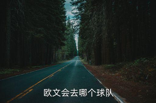  歐文會(huì)去哪個(gè)球隊(duì)