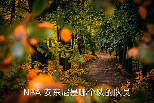 安東尼現(xiàn)在在哪個球隊,籃球巨星安東尼nba生涯回顧