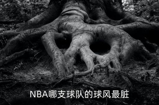 nba哪個(gè)隊(duì)最辣雞,nba選出30年最差五支球隊(duì)馬刺最臟