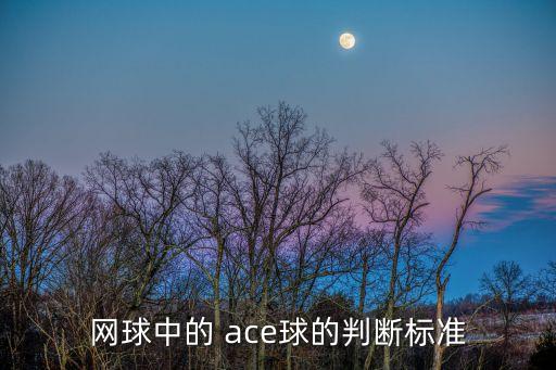 有哪個球星穿ace,ace球是什么鬼?看看這里!