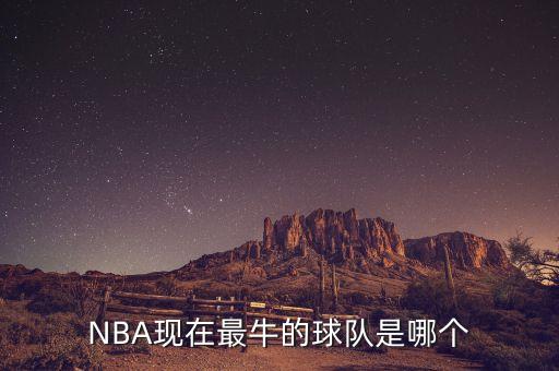 活塞和奇才哪個厲害,我個人總結(jié):nba總冠軍還是有希望