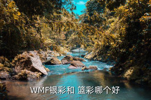 WMF銀彩和 籃彩哪個好