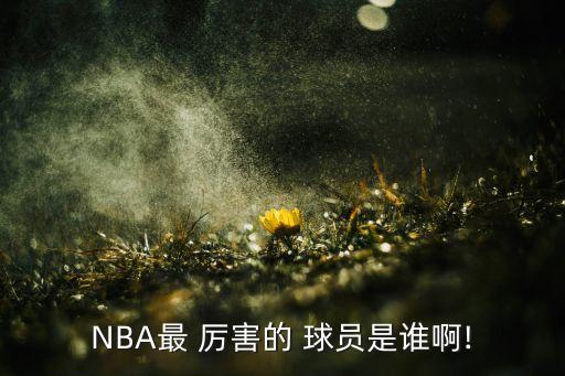 nba哪個球員最厲害,喬丹退役后仍是nba之最厲害球員