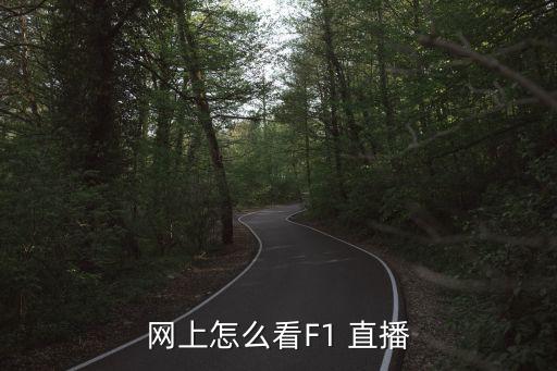 網上怎么看F1 直播