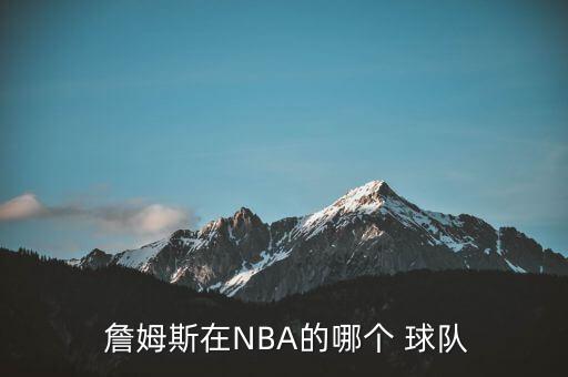  詹姆斯在NBA的哪個 球隊