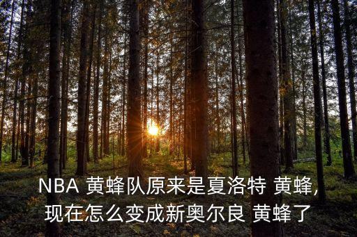 NBA 黃蜂隊(duì)原來(lái)是夏洛特 黃蜂,現(xiàn)在怎么變成新奧爾良 黃蜂了