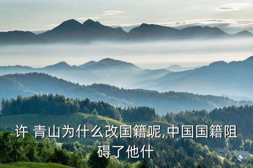 許青山現(xiàn)在在哪個球隊(duì),我國足球小將徐青山的職業(yè)生涯