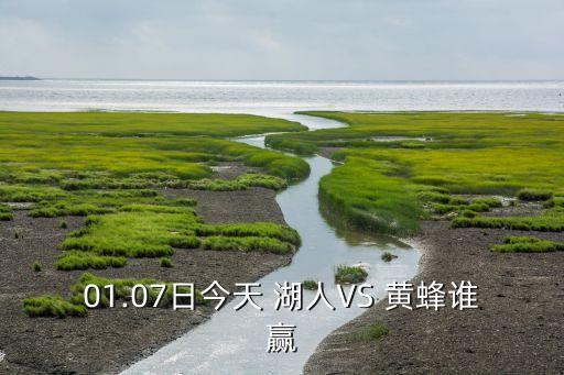 01.07日今天 湖人VS 黃蜂誰贏