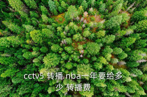 cctv5 轉(zhuǎn)播 nba一年要給多少 轉(zhuǎn)播費(fèi)