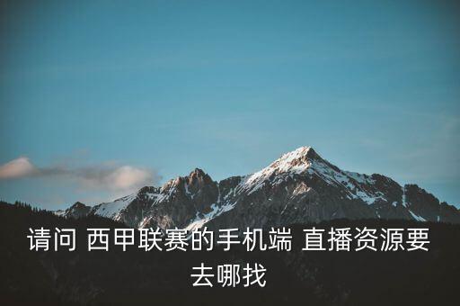 哪個(gè)網(wǎng)站免費(fèi)直播西甲,非正版資源直播會(huì)有點(diǎn)延遲畫(huà)面不清晰