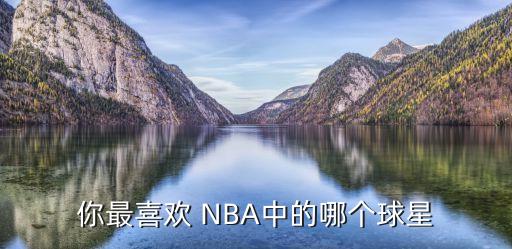 你最喜歡 NBA中的哪個球星