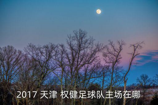 2017 天津 權(quán)健足球隊(duì)主場(chǎng)在哪