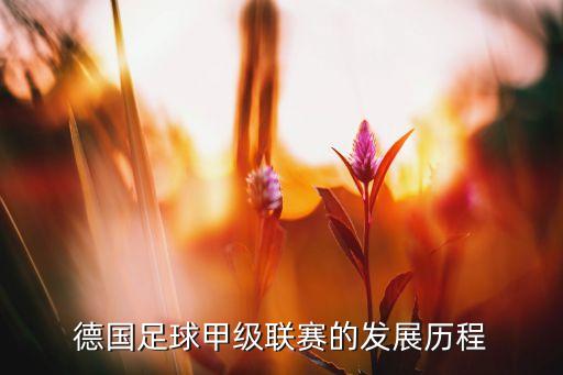 德國足球甲級聯(lián)賽的發(fā)展歷程