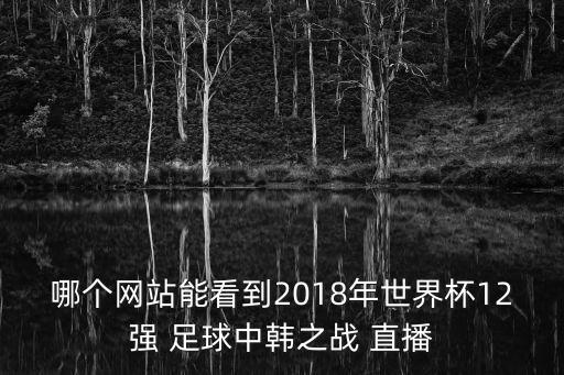 哪個網(wǎng)站能看到2018年世界杯12強 足球中韓之戰(zhàn) 直播