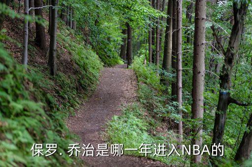  保羅. 喬治是哪一年進入NBA的