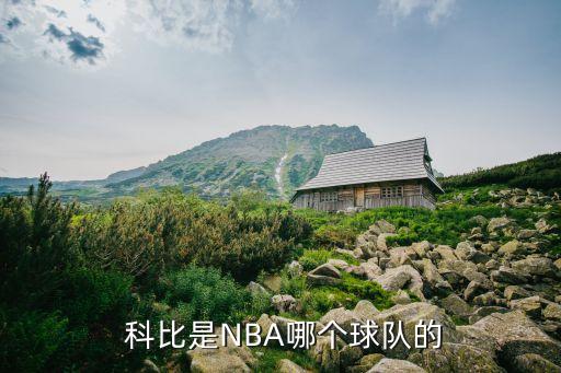 科比2017復(fù)出哪個戰(zhàn)隊,科比布萊恩特nba生涯回顧