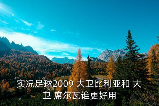 實(shí)況足球2009 大衛(wèi)比利亞和 大衛(wèi) 席爾瓦誰(shuí)更好用