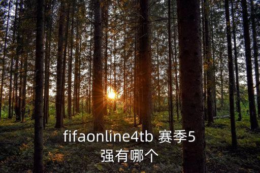 fifaonline4tb 賽季5強有哪個