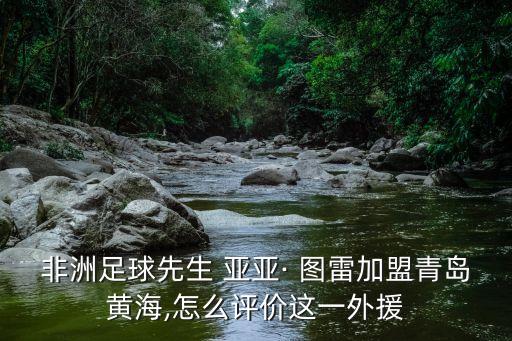 亞亞圖雷是哪個(gè)國(guó)家,科洛圖雷和亞亞圖雷是科特迪瓦絕對(duì)主力!