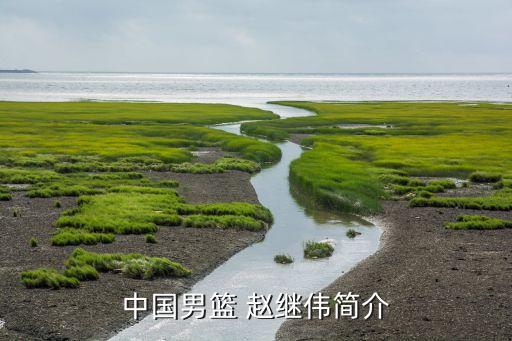 趙繼偉適合nba哪個隊,我國籃球小將趙繼偉的職業(yè)生涯回顧