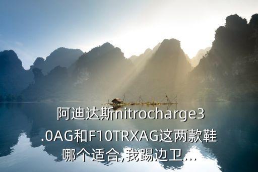  阿迪達(dá)斯nitrocharge3.0AG和F10TRXAG這兩款鞋哪個(gè)適合,我踢邊衛(wèi)...