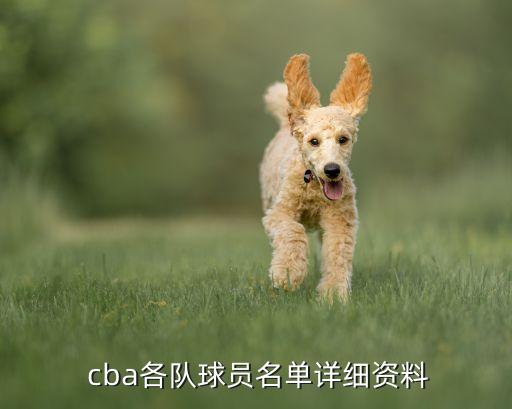  cba各隊球員名單詳細(xì)資料