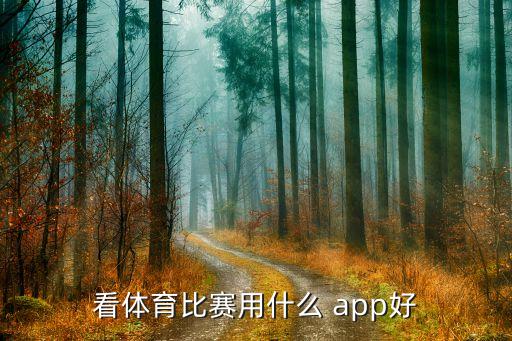 看體育比賽用什么 app好