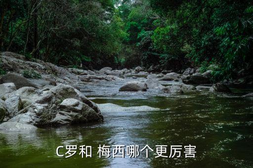 C羅和 梅西哪個更厲害