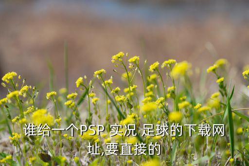 誰給一個PSP 實況 足球的下載網(wǎng)址,要直接的