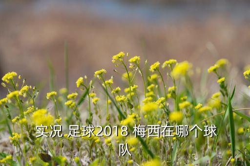  實(shí)況 足球2018 梅西在哪個球隊(duì)