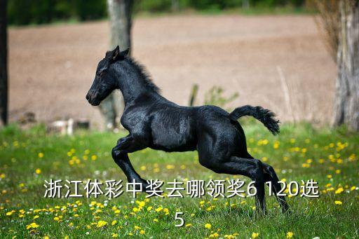  浙江體彩中獎(jiǎng)去哪領(lǐng)獎(jiǎng)6 120選5