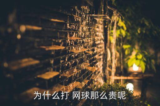 為什么打 網(wǎng)球那么貴呢