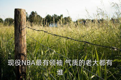 現(xiàn)役NBA最有領(lǐng)袖 氣質(zhì)的老大都有誰