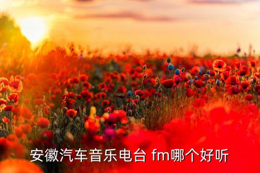 哪個(gè)fm,上航簡(jiǎn)介:中國最好的航空公司