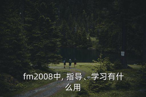  fm2008中, 指導(dǎo)、學(xué)習(xí)有什么用