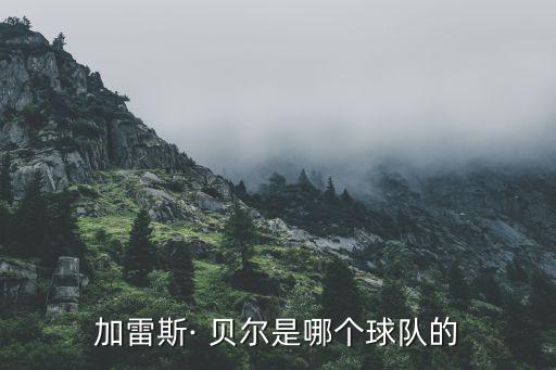 皇馬貝爾哪個國家的,加雷斯貝爾99年正式退役