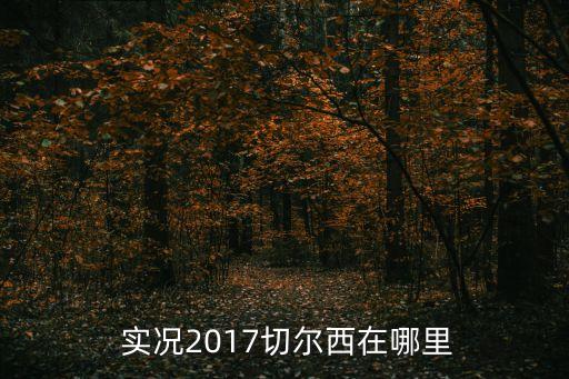  實況2017切爾西在哪里