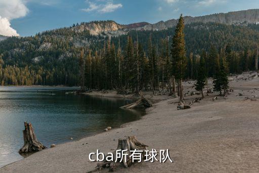 cba哪個(gè)隊(duì)代表浙江,浙江稠州銀行為中國(guó)籃球選手省略了爭(zhēng)冠