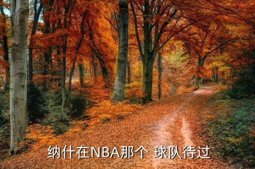  納什在NBA那個(gè) 球隊(duì)待過(guò)