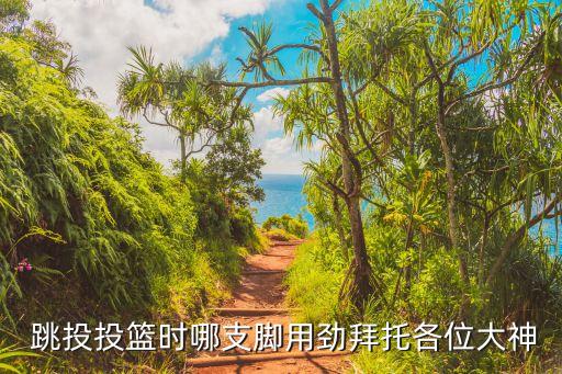  跳投投籃時(shí)哪支腳用勁拜托各位大神