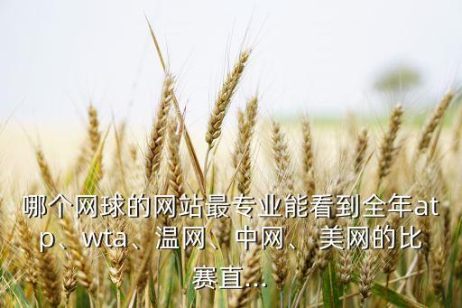 哪個(gè)網(wǎng)球的網(wǎng)站最專業(yè)能看到全年atp、wta、溫網(wǎng)、中網(wǎng)、 美網(wǎng)的比賽直...