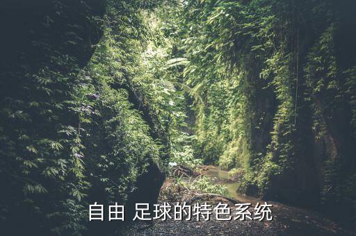 自由足球哪個職業(yè)好,玩自由足球到30級就不能跳槽