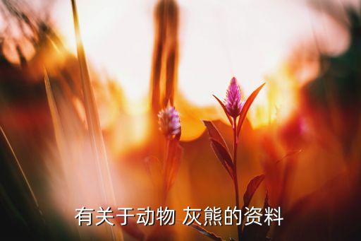 灰熊來(lái)自哪個(gè)國(guó)家,中國(guó)二級(jí)保護(hù)動(dòng)物棕熊發(fā)梢似銀灰色發(fā)梢