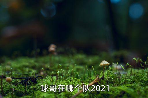 球哥哪個(gè)位置,湖人用拉塞爾換球哥比科恩更適合打高空球