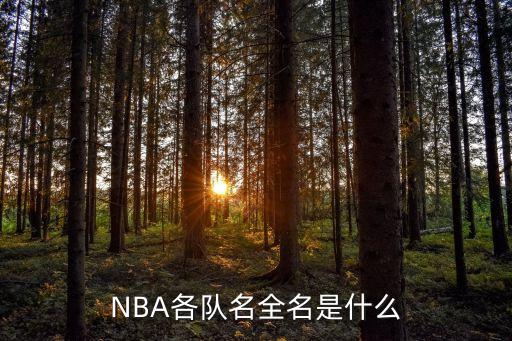 NBA各隊名全名是什么