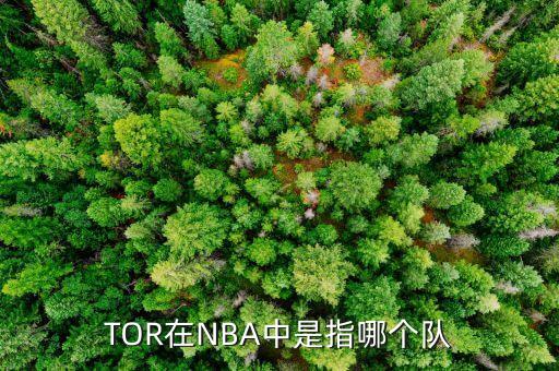 TOR在NBA中是指哪個隊