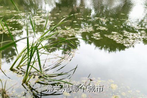 弗蘭在哪個(gè)國(guó)家,世界杯金球獎(jiǎng)得主弗蘭的個(gè)人榮譽(yù)